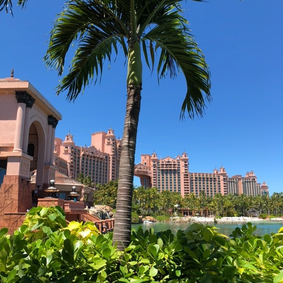 Meet your Posher, Matt - Picture 2 of 2